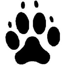 Paw.jpg